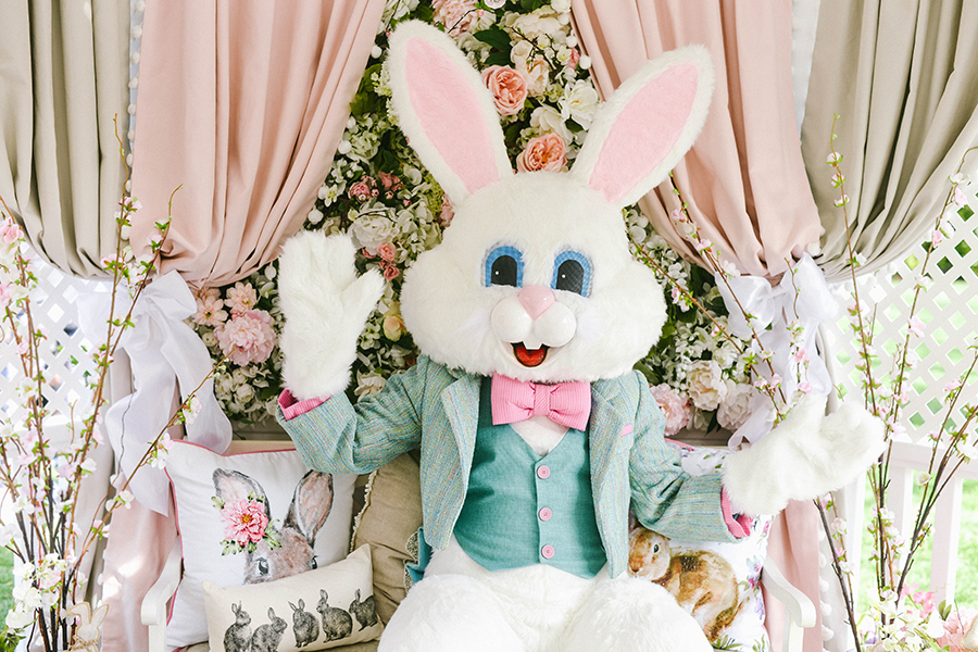 Meet the Easter Bunny